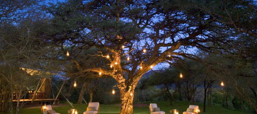 Evening under tree - Image 1
