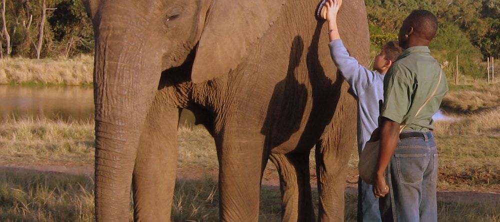 A trip to the elephant sanctuary at Plettenberg Hotel, Plettenberg, South Africa - Image 14