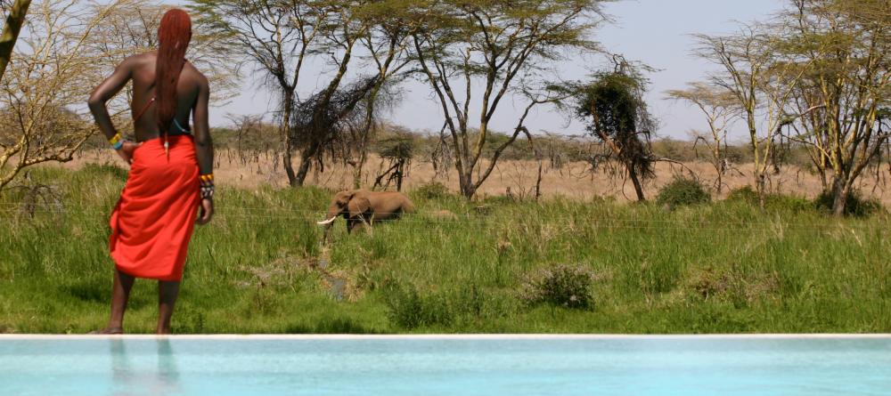 Pool and wildlife at Sirikoi, Lewa Conservancy, Kenya - Image 7