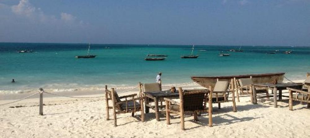 Flame Tree, Zanzibar, Tanzania - Image 5