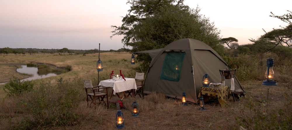Fly camping- Olivers Camp, Tarangire National Park, Tanzania - Image 10