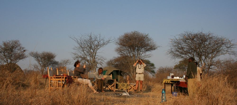 Fly camping- Olivers Camp, Tarangire National Park, Tanzania - Image 11