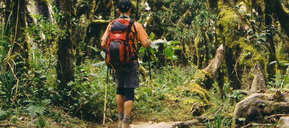 Mt. Kilimanjaro Western Approach - Image 11