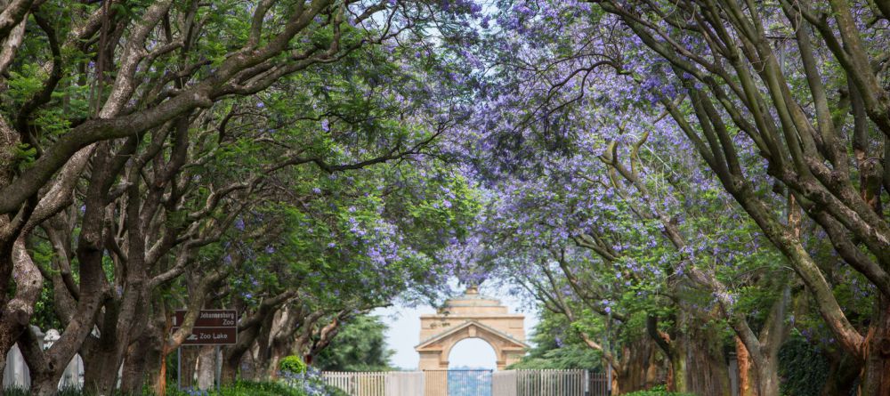 The Four Seasons Westcliff, Johannesburg, South Africa - Image 5