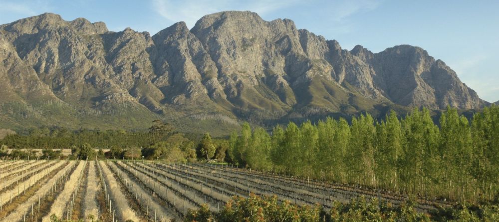Vineyards at Franschhoek Country House, Franschhoek, South Africa - Image 3