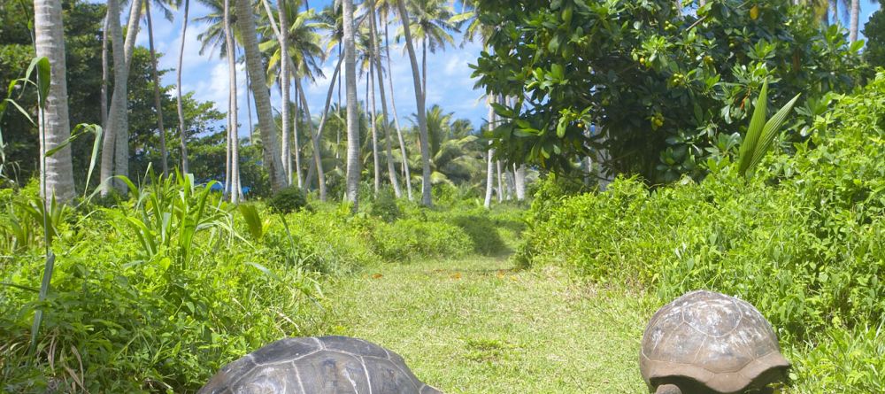 Fregate Island Resort, Fregate Island, Seychelles - Image 13