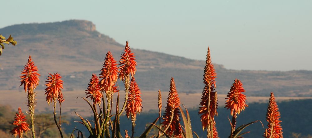 Fugitives' Drift, Drakensburg Mountains, South Africa - Image 13