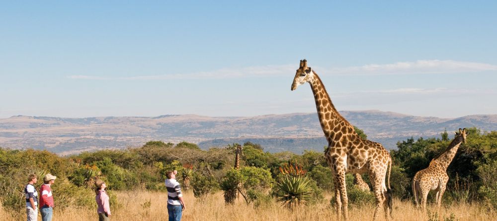 Fugitives' Drift, Drakensburg Mountains, South Africa - Image 15