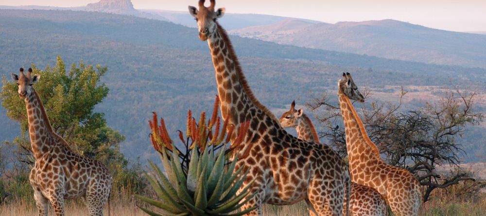 Fugitives' Drift, Drakensburg Mountains, South Africa - Image 1