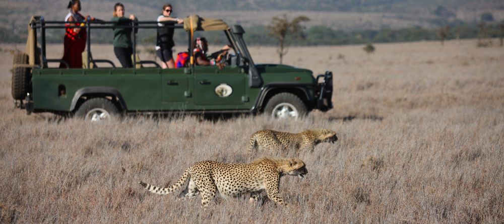 Game drive at Sirikoi, Lewa Conservancy, Kenya - Image 8