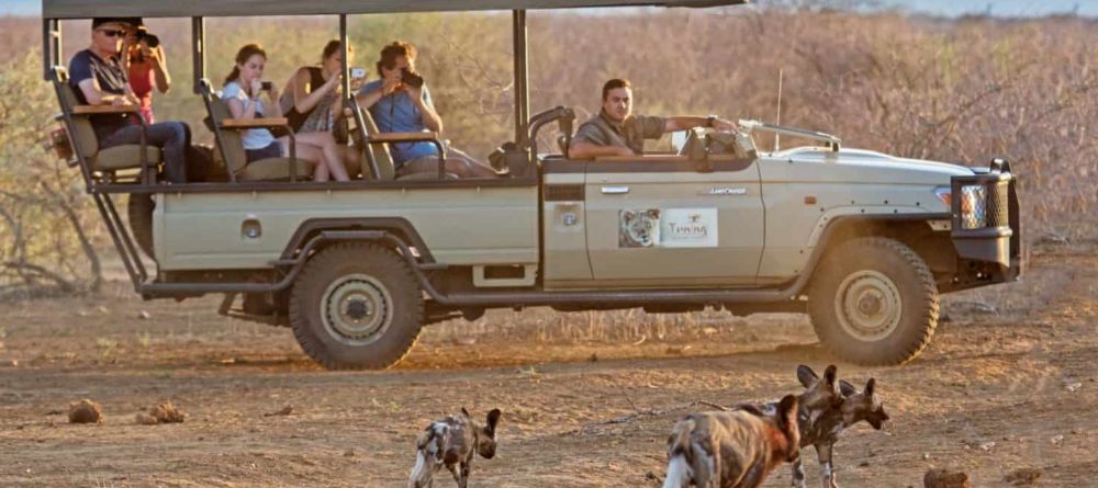 Tuningi Safari Lodge - Image 4