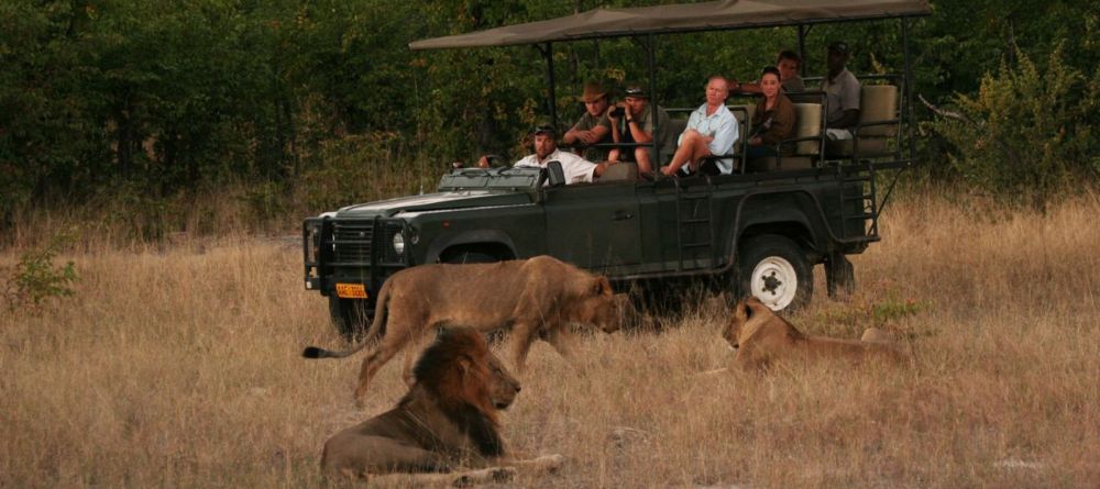 Camp Hwange - Game drive - Image 4