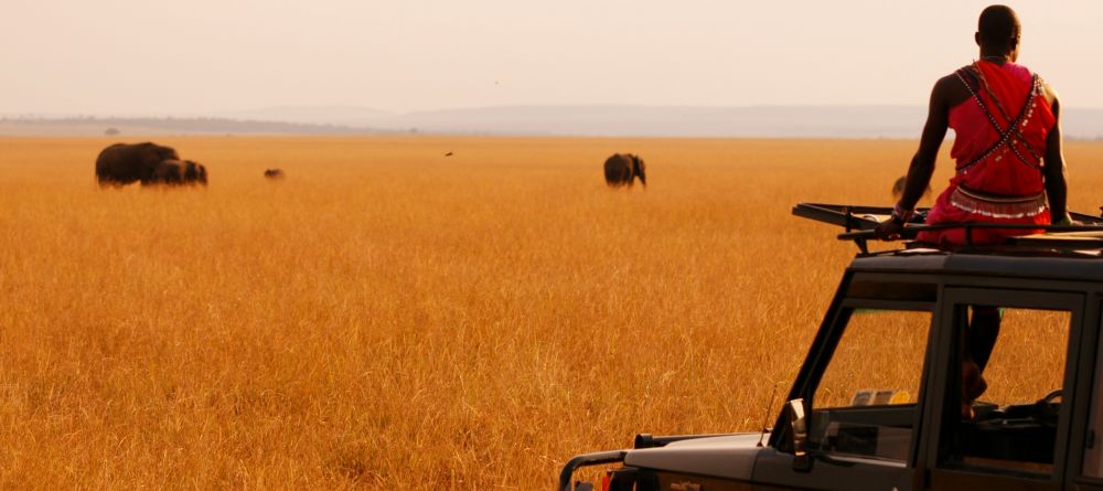 Private Masai guides lead game drives through the famous game-rich plains at Mara House, Masai Mara National Reserve, Kenya - Image 5