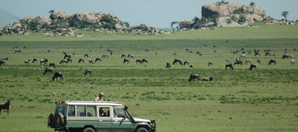 Game drive during migration at Lamai Serengeti, Serengeti National Park, Tanzania - Image 24