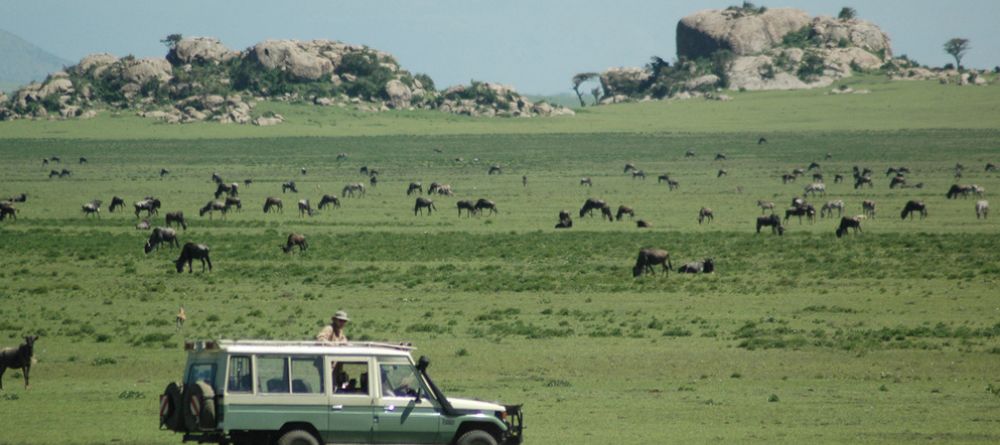 Game drive during migration at Lamai Serengeti, Serengeti National Park, Tanzania - Image 10