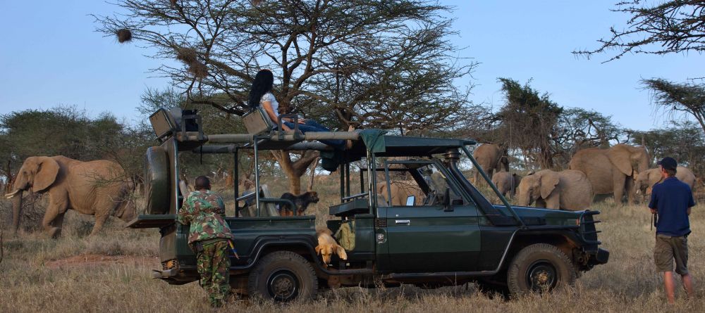 Elephant game drive at Ol Malo, Laikipia, Kenya - Image 8