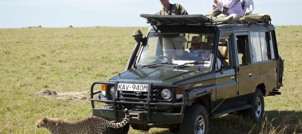 Game Drive from Sala's Camp - Image 3