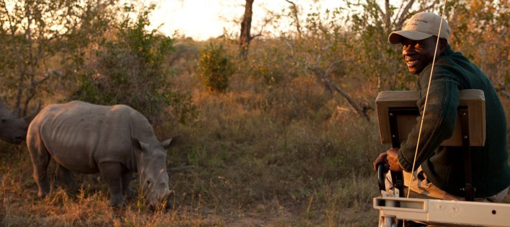 Game Drive Rhino - Image 5