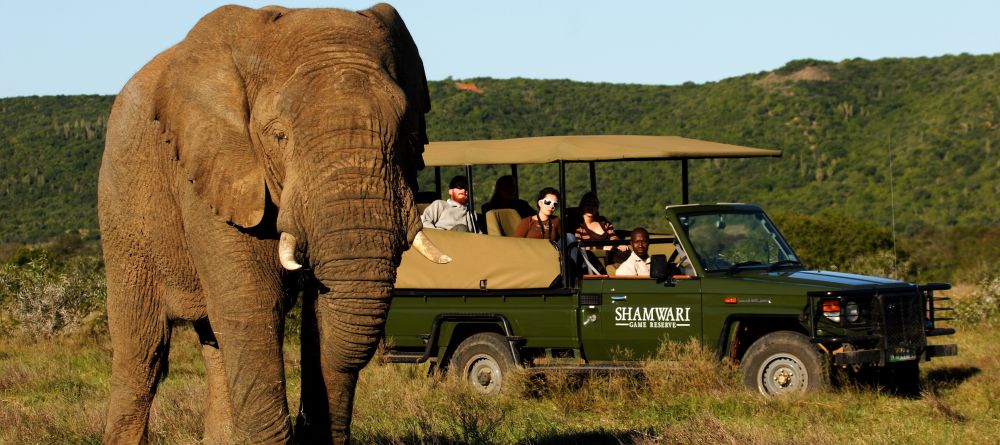Game drive at Shamwari Bayethe Tented Lodge, Shamwari Game Reserve, South Africa - Image 1