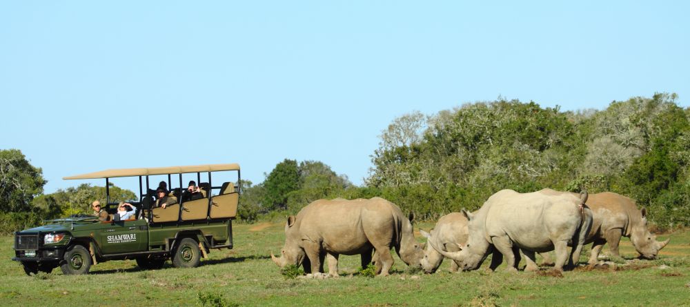 Spotting a herd of rhinos at Shamwari Bayethe Tented Lodge, Shamwari Game Reserve, South Africa - Image 4