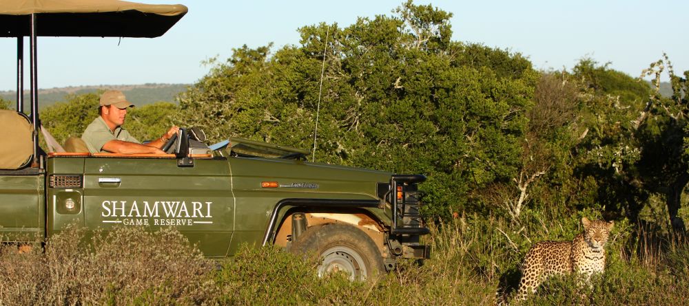 A leopard spotted during a game drive at Shamwari Long Lee Manor, Shamwari Game Reserve, South Africa - Image 3