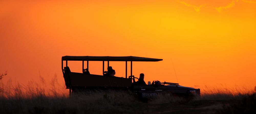 Game drive at sunset at Shamwari Long Lee Manor, Shamwari Game Reserve, South Africa - Image 4