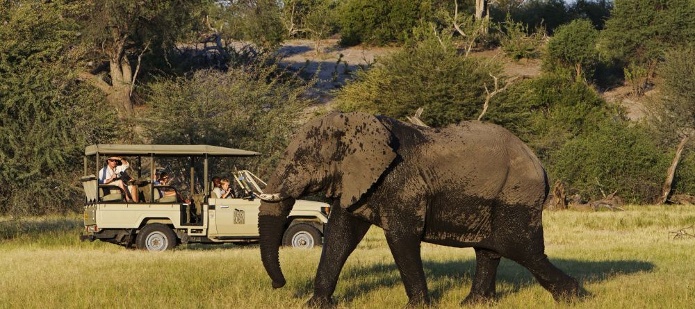 Elephant Game Drive at Leroo Le Tau - Image 1