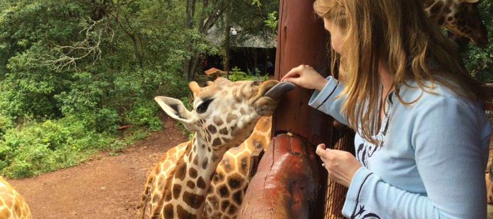 Giraffe Sanctuary  - Image 13