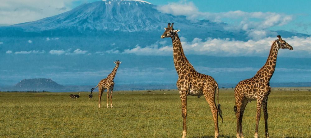 Ol Donyo Lodge, Chyulu Hills, Kenya - Image 3