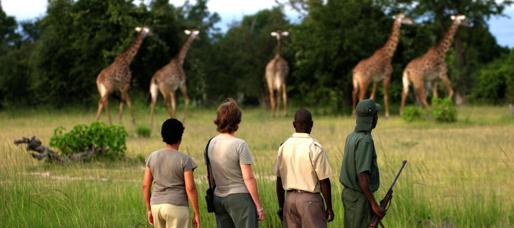 Zungulila Bushcamp, South Luangwa National Park, Zambia - Image 17
