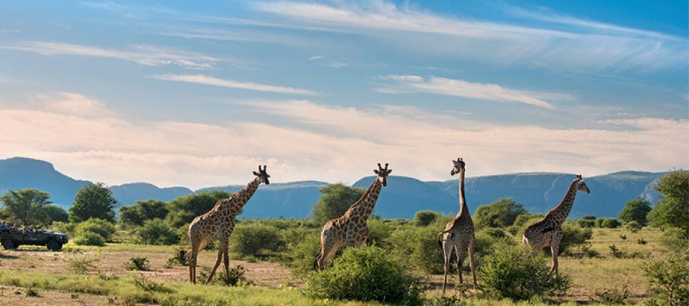 Marataba Safari Lodge, Marataba Game Reserve, South Africa - Image 8