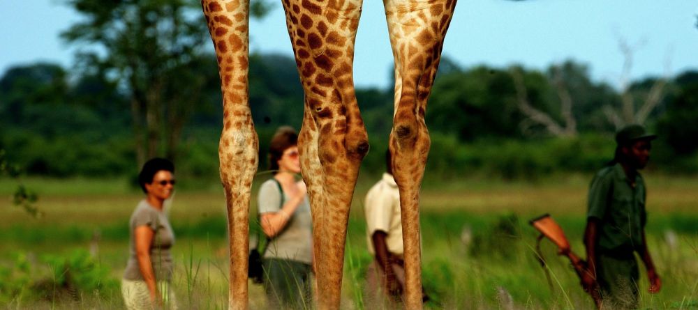 Zungulila Bushcamp, South Luangwa National Park, Zambia - Image 18
