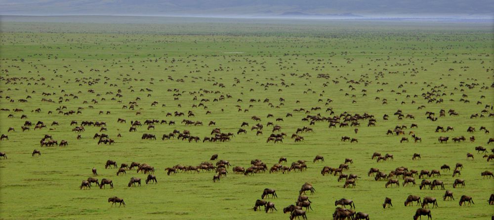 Saandani Safari Lodge, Saandani National Park, Tanzania - Image 7
