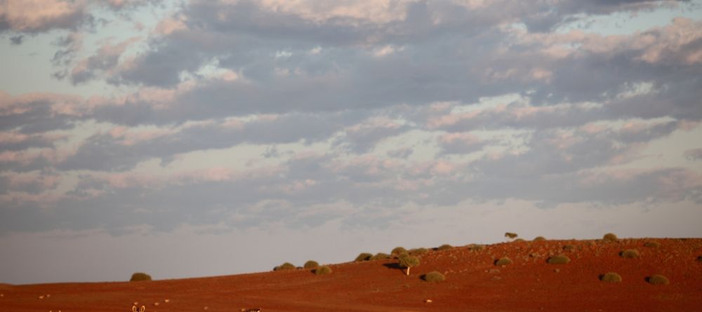 Gorgeous Damaraland - Image 12