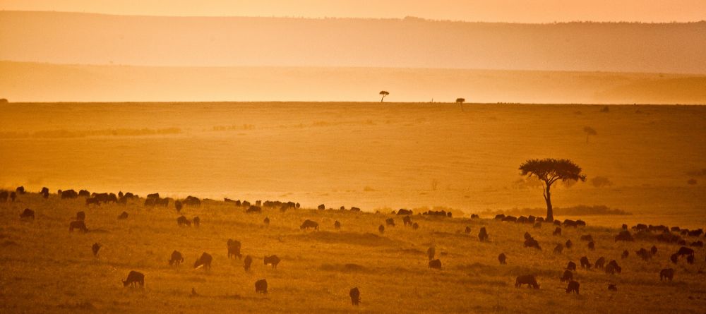 Gorgeous plains from Sala's Camp - Image 2
