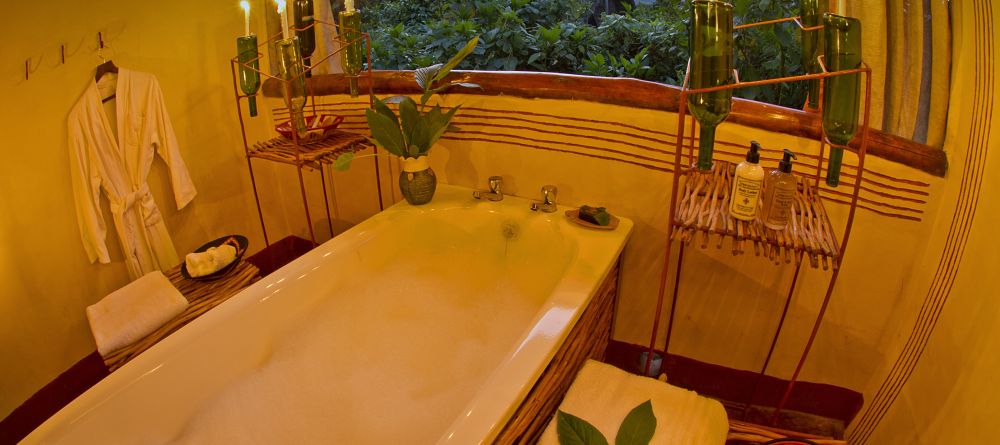 Gorilla Forest Camp, Bwindi Impenetrable Forest, Uganda - Image 6