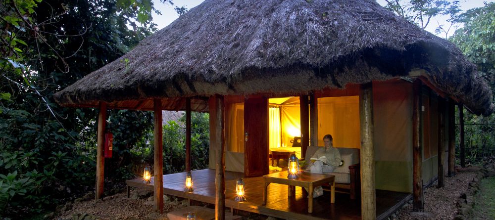 Gorilla Forest Camp, Bwindi Impenetrable Forest, Uganda - Image 10