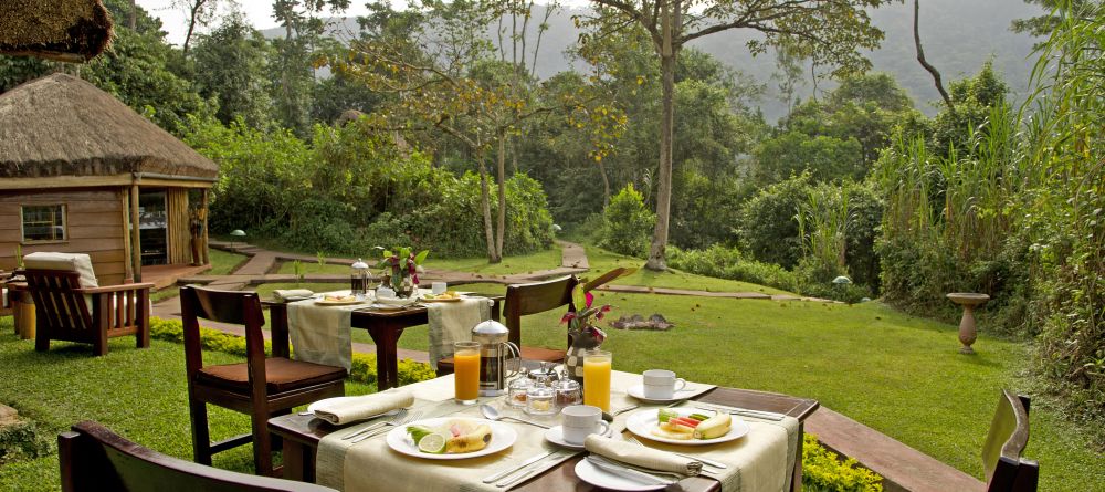 Gorilla Forest Camp, Bwindi Impenetrable Forest, Uganda - Image 12