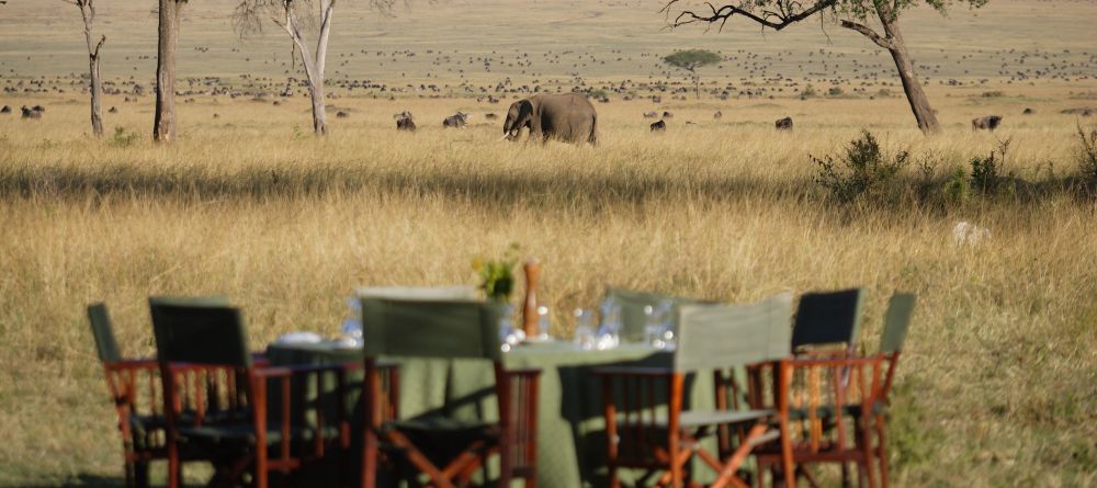 Governors Main Camp, Masai Mara National Reserve, Kenya - Image 4