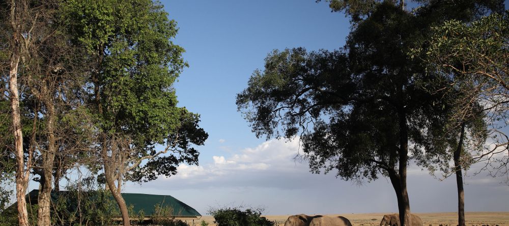 Governors Main Camp, Masai Mara National Reserve, Kenya - Image 6