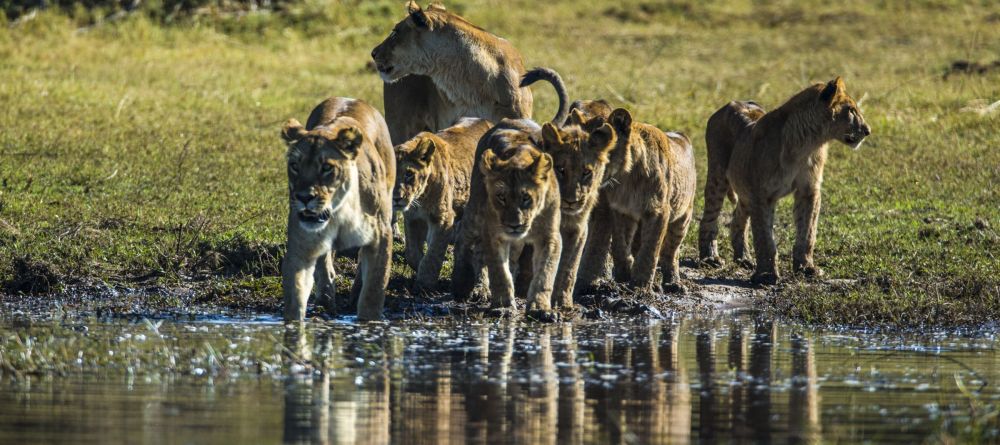 Where: Lewa Conservancy, KenyaSet in the rolling foothills of Mt Kenya, this conservancy is one of Africa’s most successful conservation stories with thriving populations of rhinos, innovative elephant monitoring programs, big cats,  and a collection of - Image 13