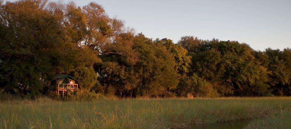 Camp exterior at Gunns Camp, Okavango Delta, Botswana - Image 2