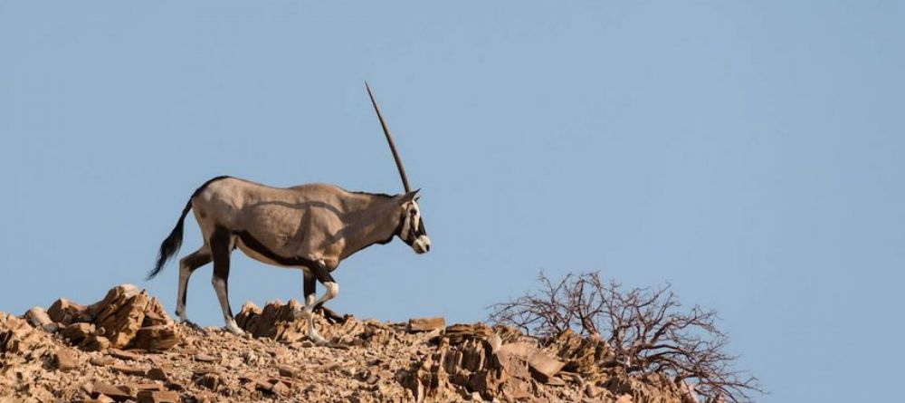 Hoanib Valley Camp - Image 12