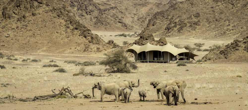 Hoanib Camp tent exterior with elephants - Image 1