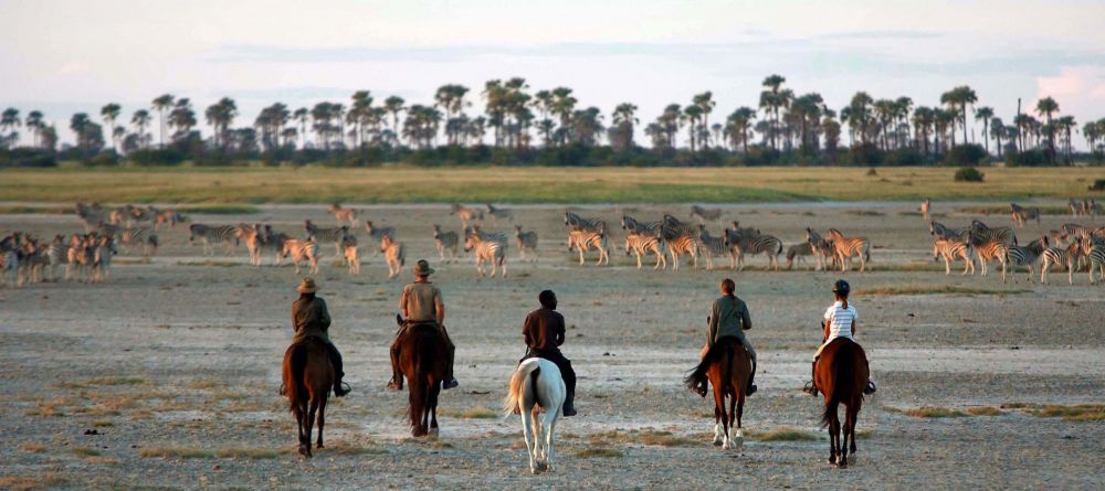 Jacks Camp, Kalahari Desert, Botswana - Image 2