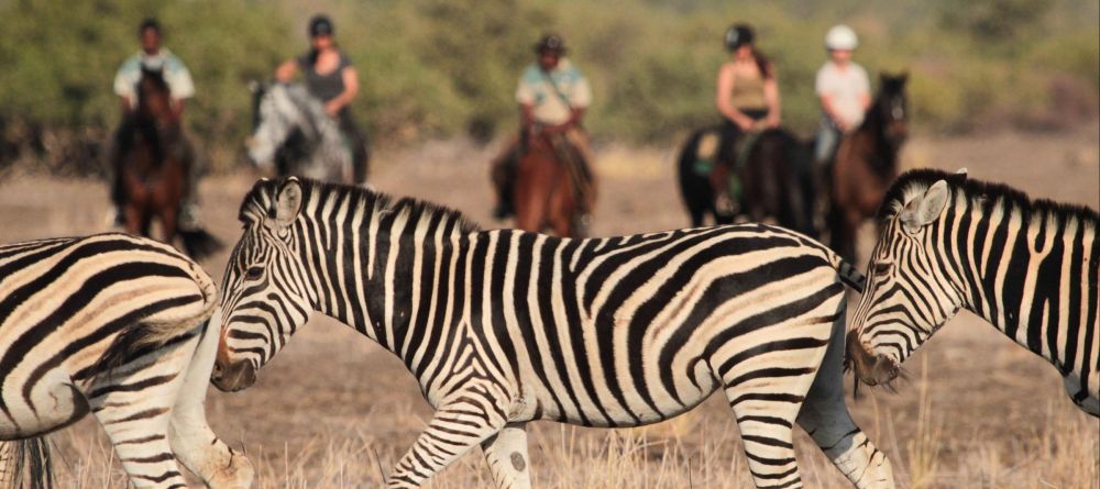 Mashatu Lodge, Mashatu Game Reserve, Botswana - Image 17
