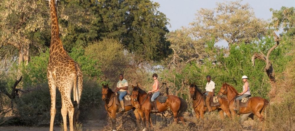 Mashatu Lodge, Mashatu Game Reserve, Botswana - Image 19