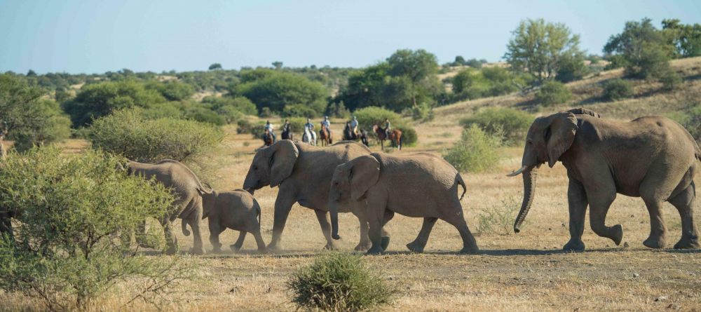 Mashatu Lodge, Mashatu Game Reserve, Botswana - Image 21