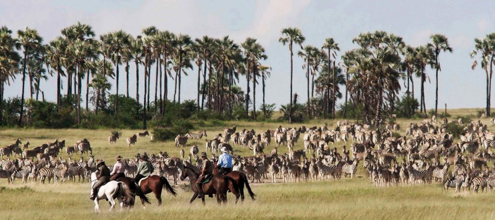 Jacks Camp, Kalahari Desert, Botswana - Image 4