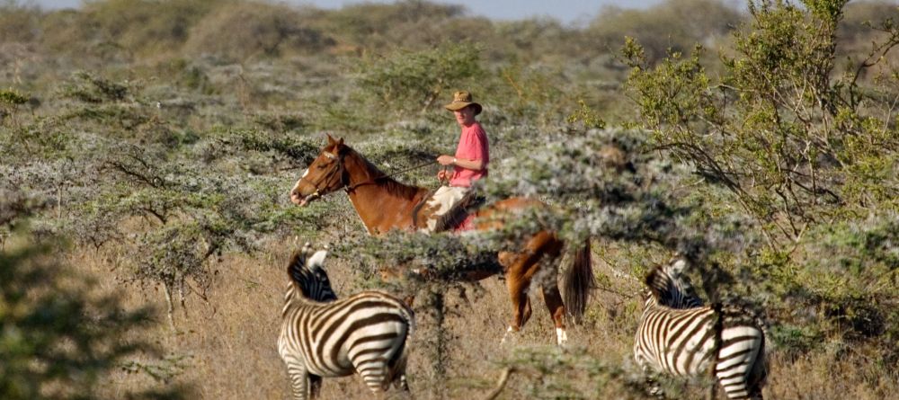 Horse back riding at Ol Malo, Laikipia, Kenya - Image 9